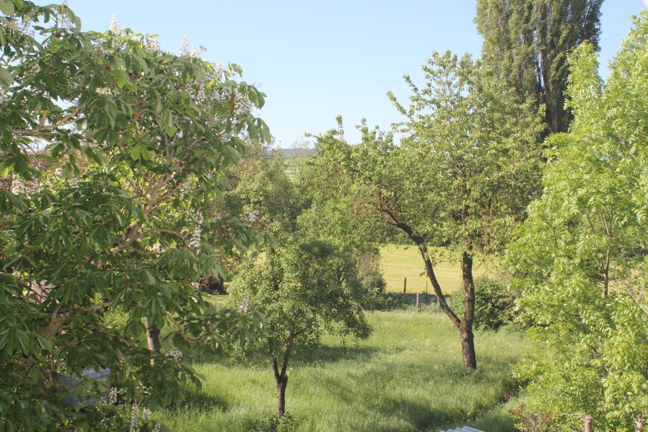 Fewo Am Schlossberg Neusitz  Extérieur photo